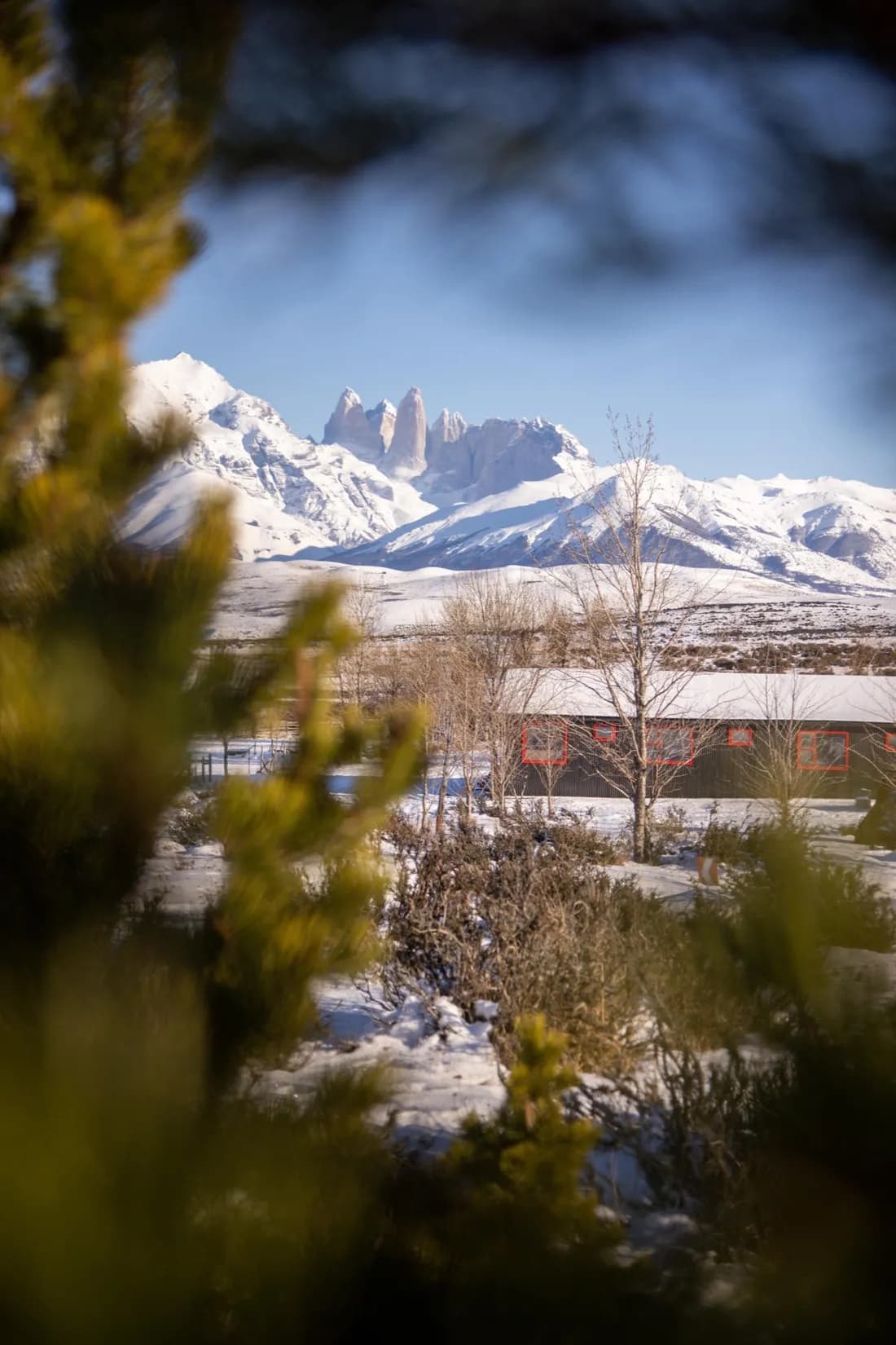 Rasante lodge seen through native trees