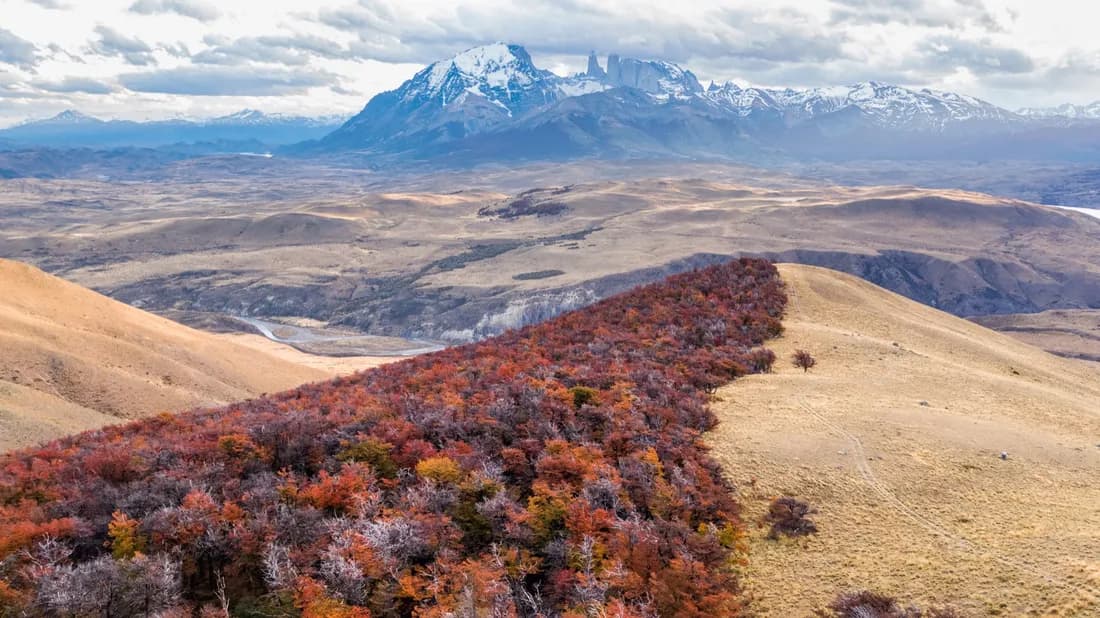 Autumn forest and open Patagonian landscape