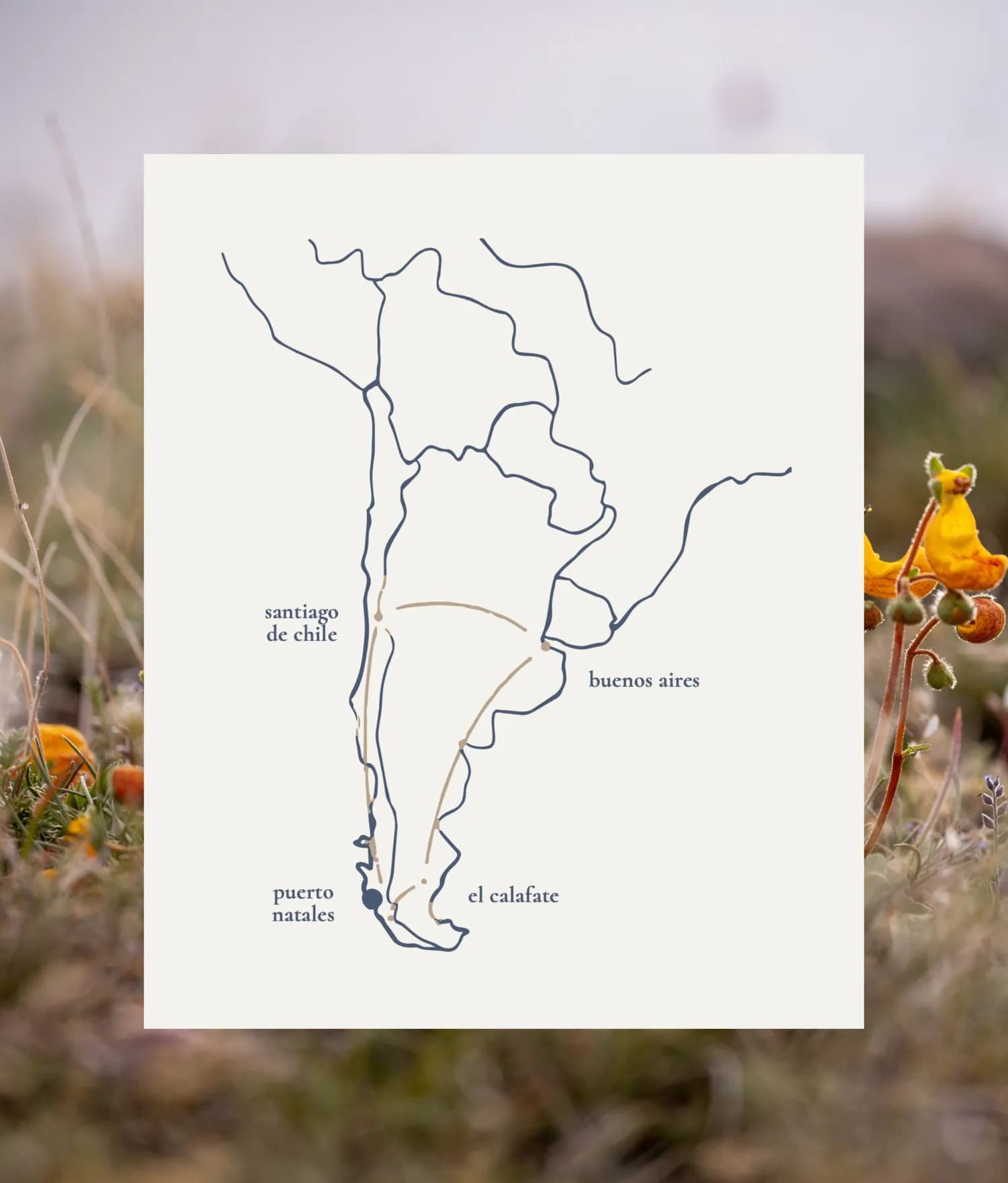Illustrated map of southern South America with the routes from Puerto Natales and El Calafate to Rasante, over wildflowers on the steppe